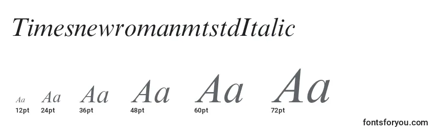 TimesnewromanmtstdItalic Font Sizes