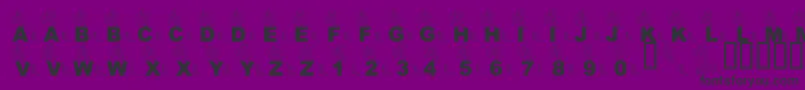 LmsPartOfTheFontWorld Font – Black Fonts on Purple Background