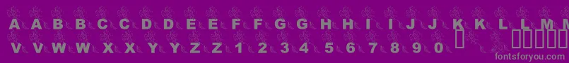 LmsPartOfTheFontWorld Font – Gray Fonts on Purple Background
