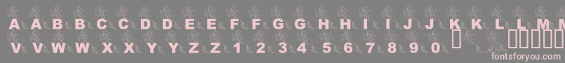 LmsPartOfTheFontWorld Font – Pink Fonts on Gray Background