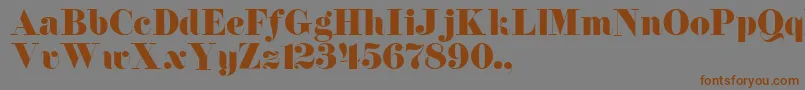 TqfFlorentine Font – Brown Fonts on Gray Background