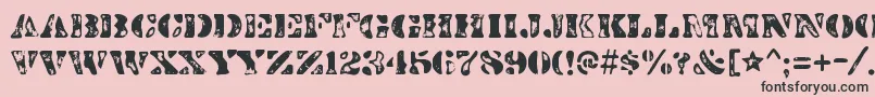 DirtybakersdozenscorchRegular Font – Black Fonts on Pink Background