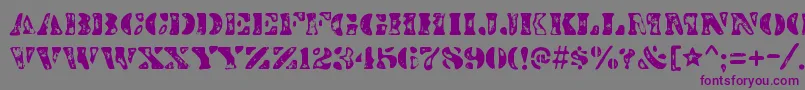 DirtybakersdozenscorchRegular Font – Purple Fonts on Gray Background