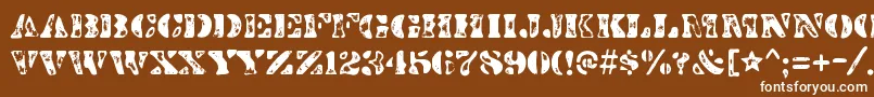 DirtybakersdozenscorchRegular Font – White Fonts on Brown Background