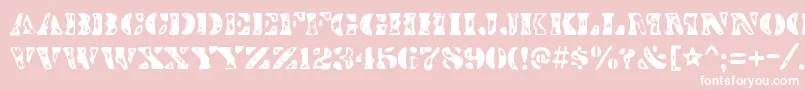 DirtybakersdozenscorchRegular Font – White Fonts on Pink Background