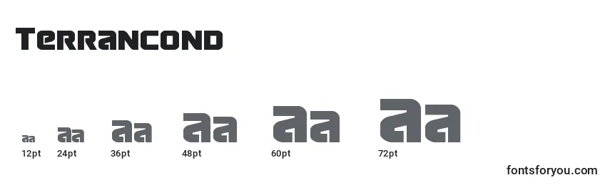 Terrancond Font Sizes