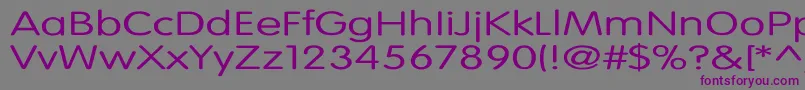VogueNormalEx Font – Purple Fonts on Gray Background