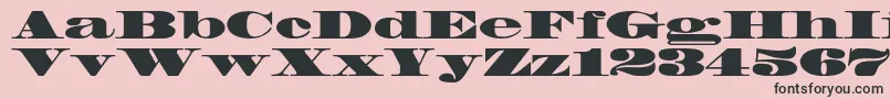 Madronestd Font – Black Fonts on Pink Background