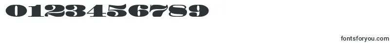 Madronestd Font – Fonts for Numbers and Digits