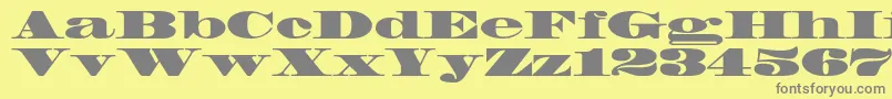 Madronestd Font – Gray Fonts on Yellow Background