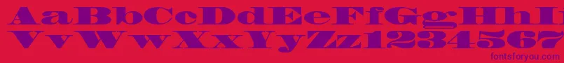 Madronestd Font – Purple Fonts on Red Background