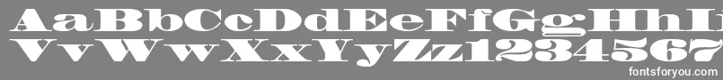 フォントMadronestd – 灰色の背景に白い文字