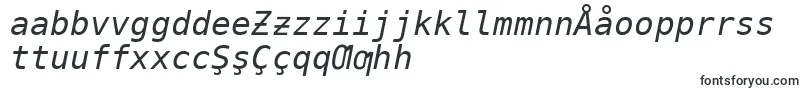 DejavuSansMonoOblique Font – Uzbek Fonts