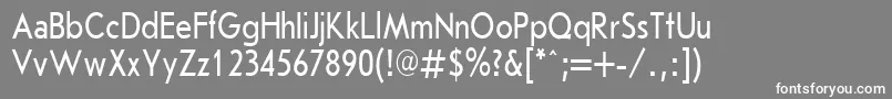 JournalSansserifPlain.001.00180nh Font – White Fonts on Gray Background