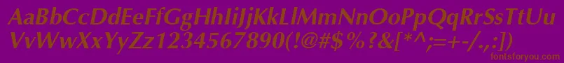 InterfaceSsiBoldItalic Font – Brown Fonts on Purple Background