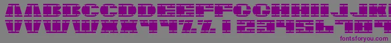 フォントNasser – 紫色のフォント、灰色の背景