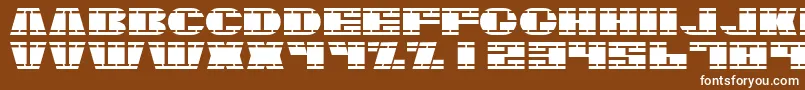 Nasser Font – White Fonts on Brown Background