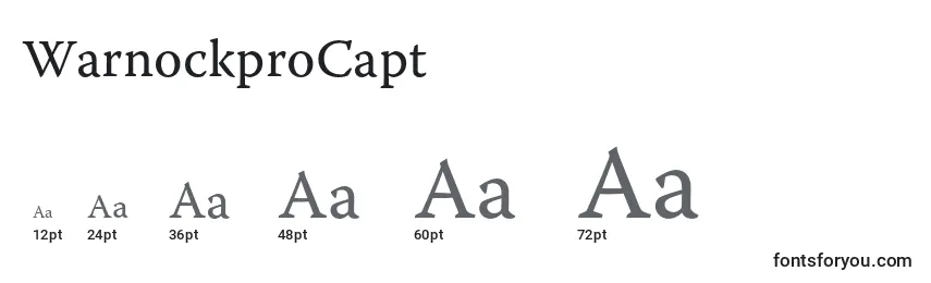 WarnockproCapt Font Sizes