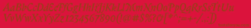 BiblonitcswashItalic Font – Brown Fonts on Red Background