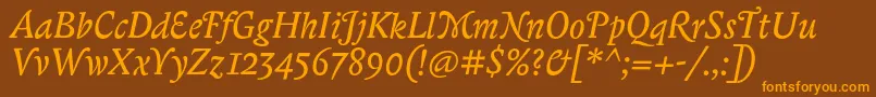 BiblonitcswashItalic Font – Orange Fonts on Brown Background