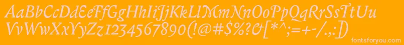 BiblonitcswashItalic Font – Pink Fonts on Orange Background