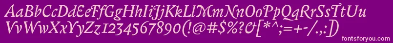 BiblonitcswashItalic Font – Pink Fonts on Purple Background