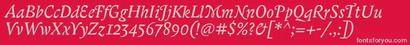 BiblonitcswashItalic Font – Pink Fonts on Red Background