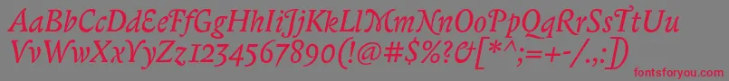 BiblonitcswashItalic Font – Red Fonts on Gray Background