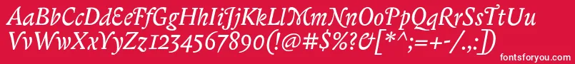 BiblonitcswashItalic Font – White Fonts on Red Background