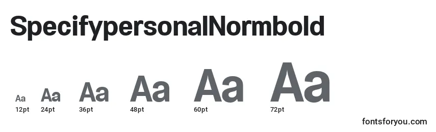 SpecifypersonalNormbold Font Sizes