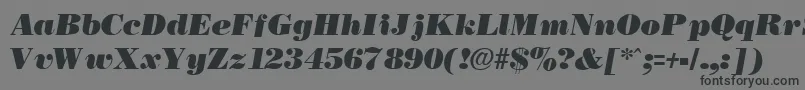 フォントNecblackItalic – 黒い文字の灰色の背景