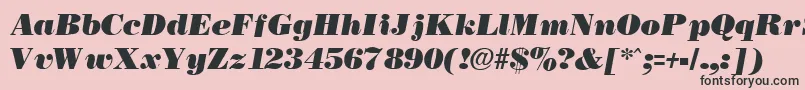 NecblackItalic Font – Black Fonts on Pink Background