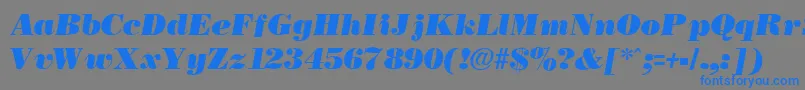 NecblackItalic Font – Blue Fonts on Gray Background