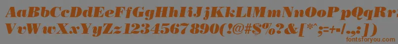 Шрифт NecblackItalic – коричневые шрифты на сером фоне