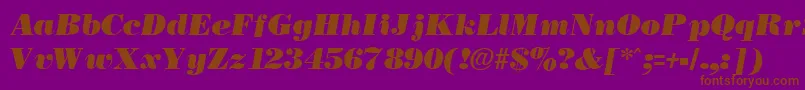 NecblackItalic Font – Brown Fonts on Purple Background