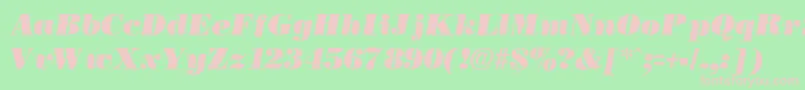 NecblackItalic Font – Pink Fonts on Green Background