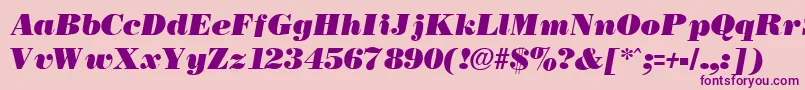 NecblackItalic Font – Purple Fonts on Pink Background