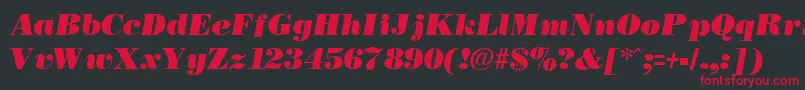 フォントNecblackItalic – 黒い背景に赤い文字