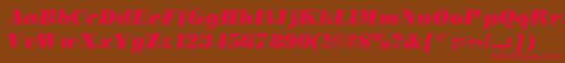 NecblackItalic Font – Red Fonts on Brown Background