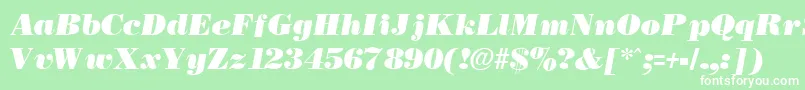 NecblackItalic Font – White Fonts on Green Background