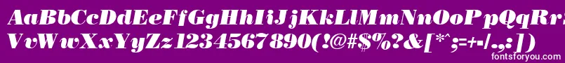 NecblackItalic Font – White Fonts on Purple Background