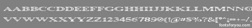 OccoluchiSpread Font – White Fonts on Gray Background