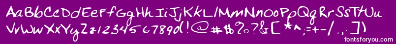 Lehn269 Font – White Fonts on Purple Background