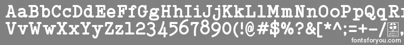 Czcionka TypowriterBoldDemo – białe czcionki na szarym tle