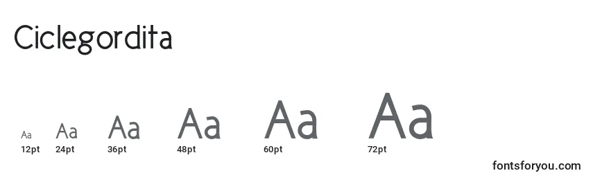Ciclegordita Font Sizes