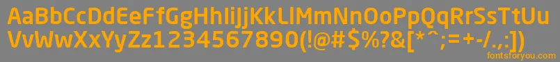 NeoSansProMedium-Schriftart – Orangefarbene Schriften auf grauem Hintergrund