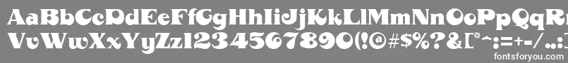 フォントMahoneyRegular – 灰色の背景に白い文字