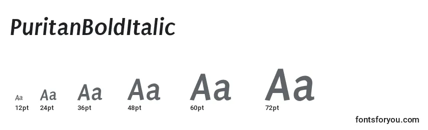 Размеры шрифта PuritanBoldItalic (32459)
