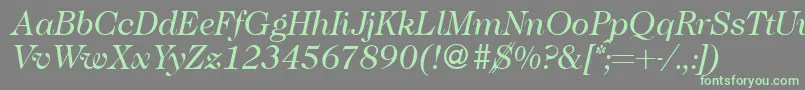 Czcionka Caslon335Regularitalic – zielone czcionki na szarym tle