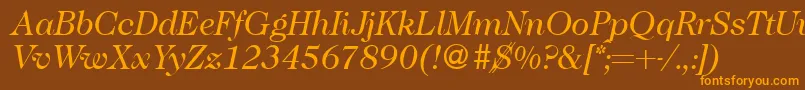 Caslon335Regularitalic Font – Orange Fonts on Brown Background